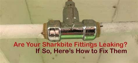 do sharkbite fittings leak|SharkBite Fitting Leaking (Solved)